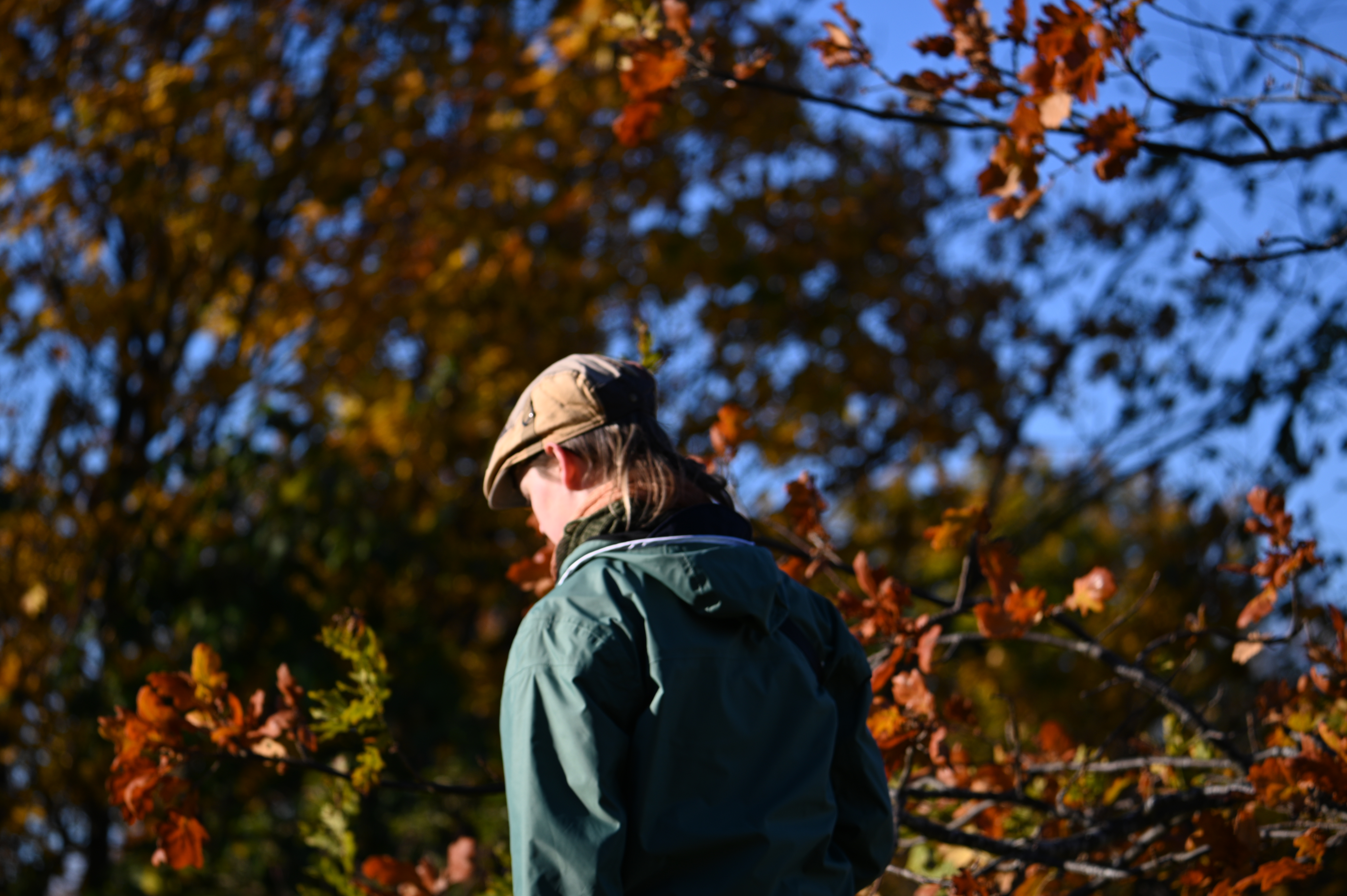 2025/10/18 - walk/DSC_0041.JPG